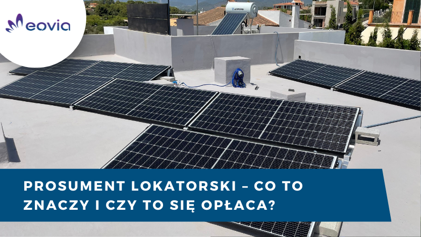 prosument lokatorski